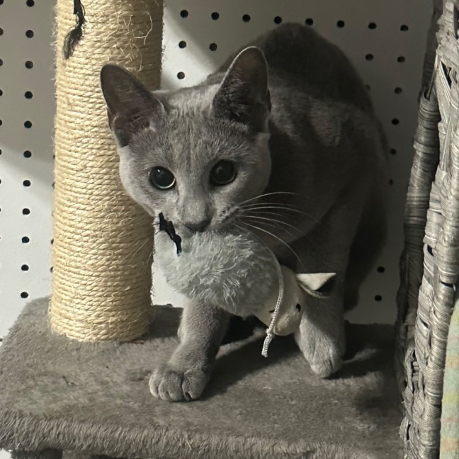 Photo of Elani 😻👑