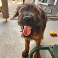 Photo of D1137 Jerome