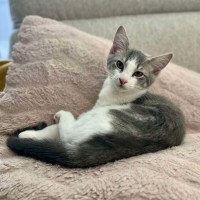 Photo of 💛 Maeve 💛