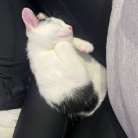 Photo of Charlie
