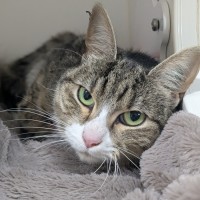 Photo of 🎭 Mischief 6423 🎭