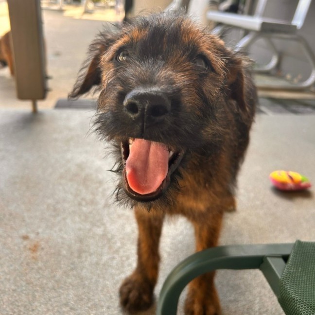 Photo of D1137 Jerome