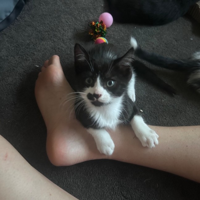 Photo of Parkway And James Bond 🥰