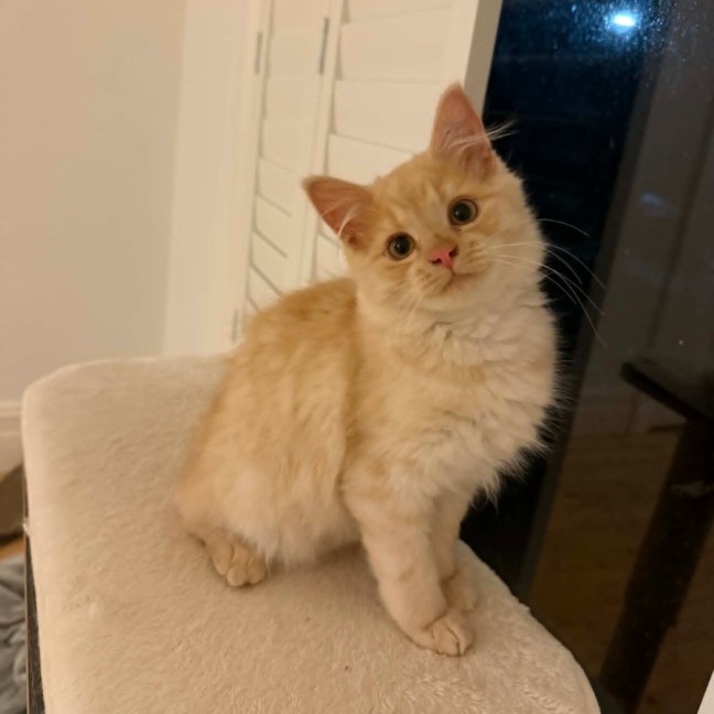 Photo of Relish