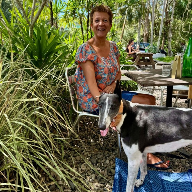 Photo of Luka, The Greyhound 