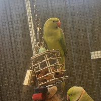 Photo of Sussy