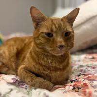 Photo of Sir Richard