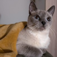 Photo of Indi