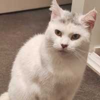 Photo of Arya