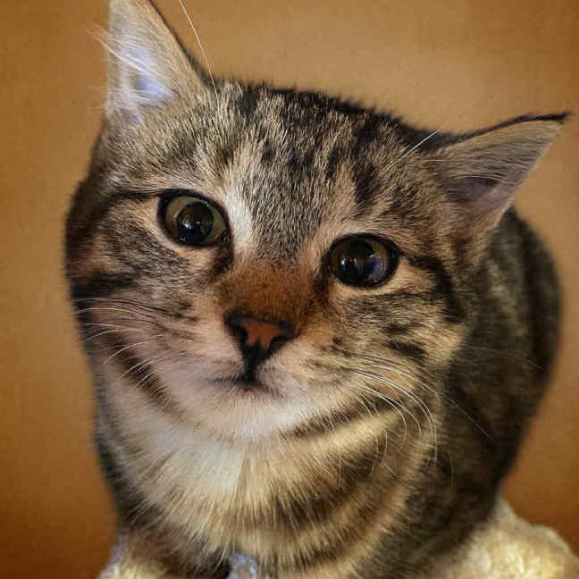 Photo of Willow 🌱