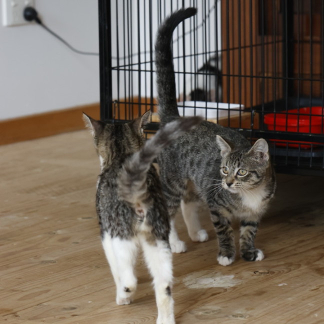 Photo of 💖Sage💖