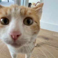 Photo of Tom