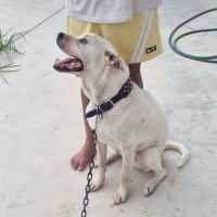 Photo of Zeus