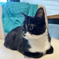 Photo of Daisy