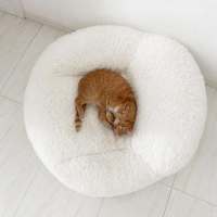 Photo of Maple
