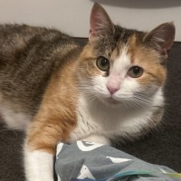 Photo of Zena ⚔️ 