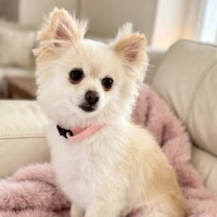 Photo of Ladia