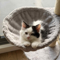 Photo of Rocket 🚀