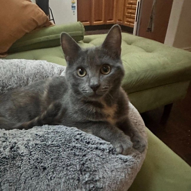 Photo of Chloe