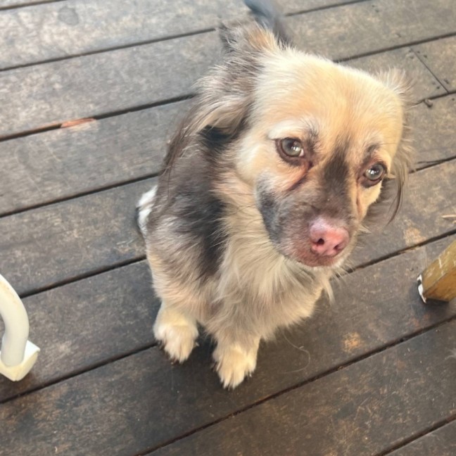 Photo of Ghost & Pippa