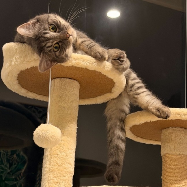 Photo of Jake