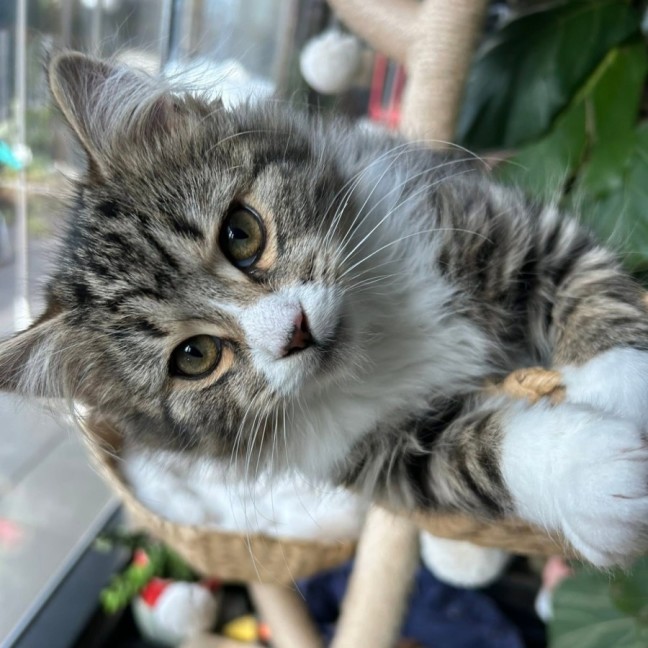 Photo of Mitzi