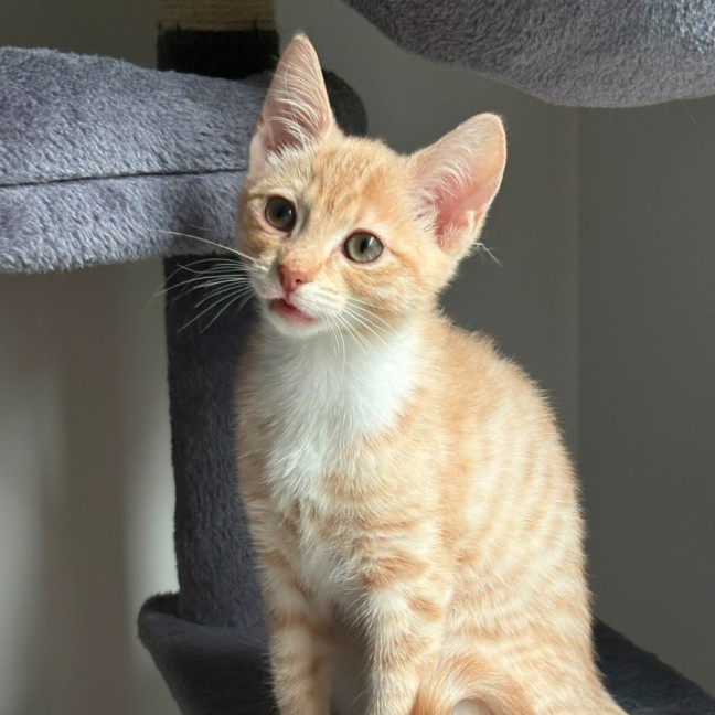 Photo of Sunny
