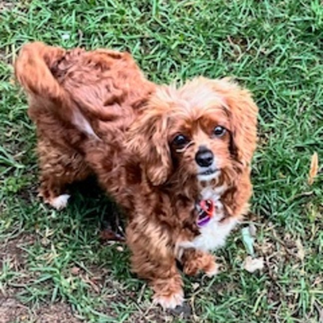 Photo of Meg