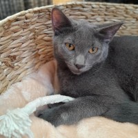 Photo of Blu