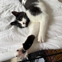 Photo of Dottie