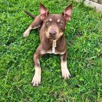 Photo of Tucker