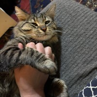 Photo of 🥔 Spud 🥔