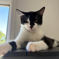 Photo of 🧡 Bandit 🧡