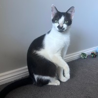 Photo of Gracey 💗