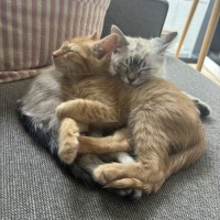 Photo of Ophelia And Dave 