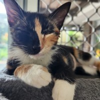 Photo of Lucy