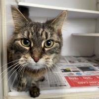 Photo of Trudy