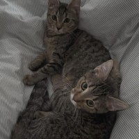 Photo of Nadia & Mishka 