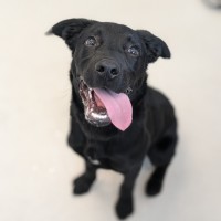 Photo of 🛴 Enzo 5574 🛴