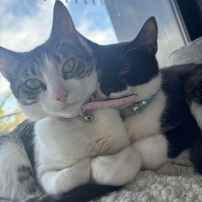 Photo of Sinead & Christy  