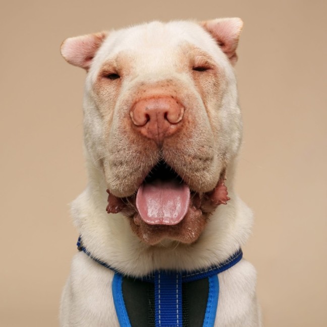 Photo of Chase & Charlie