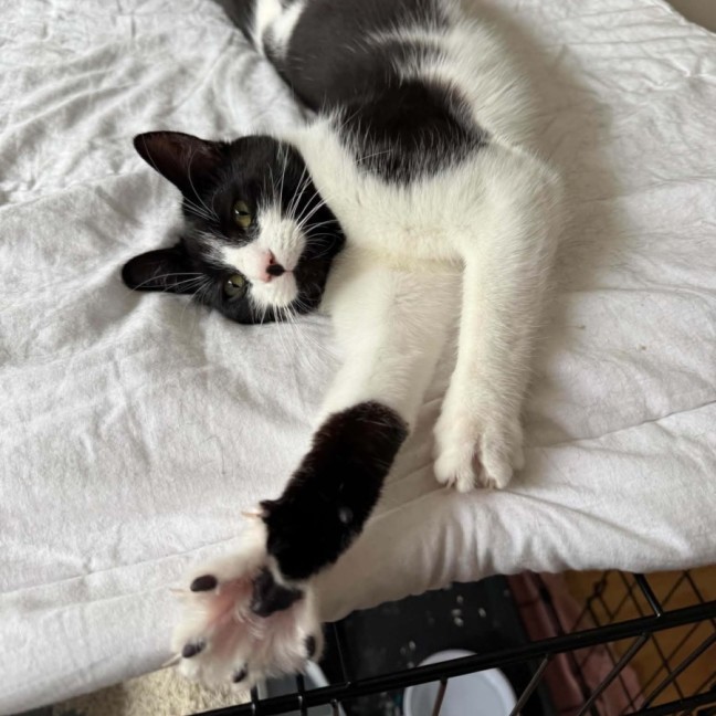 Photo of Dottie