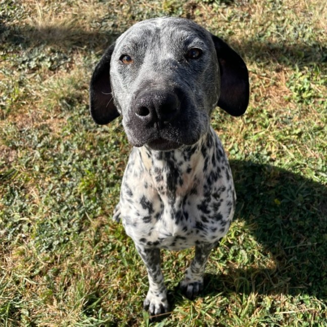 Photo of Bonnie