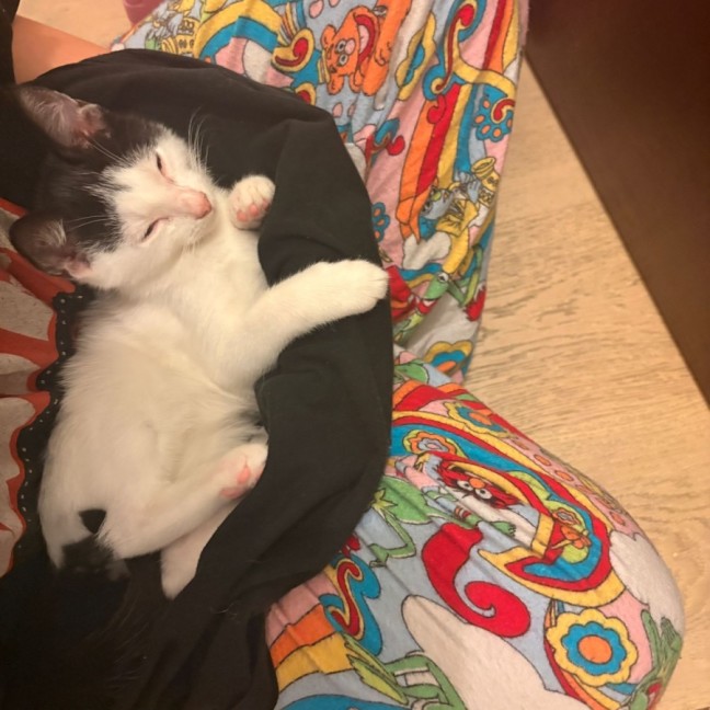 Photo of Emmy