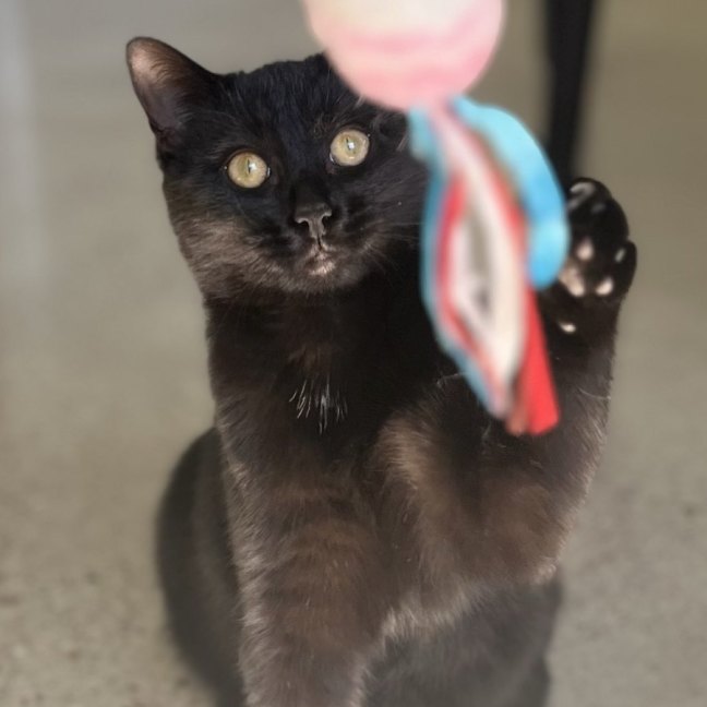 Photo of Cali