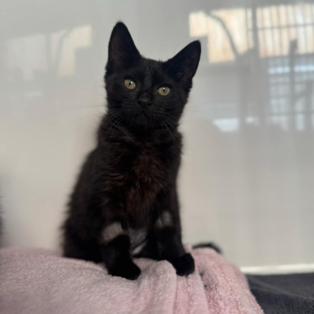 Photo of Betty   In Foster Care In Ashburton