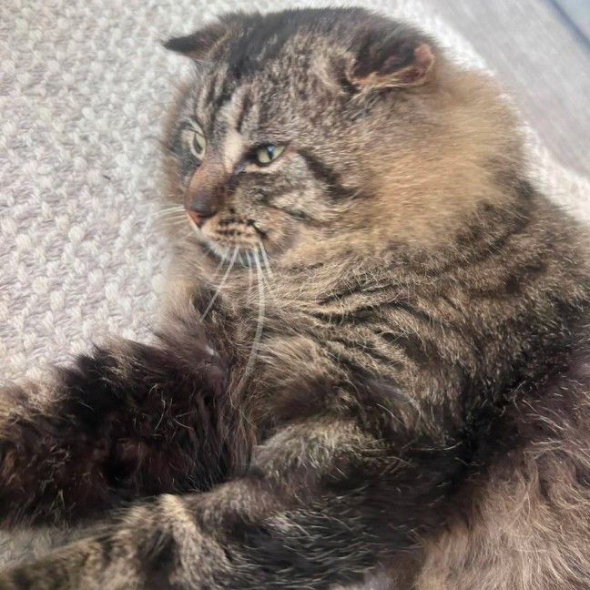 Photo of Leo