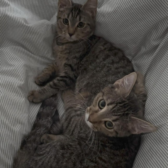 Photo of Nadia & Mishka 