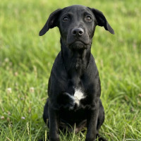 Photo of Beatrice