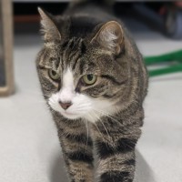 Photo of 💎 Princess 6520 💎